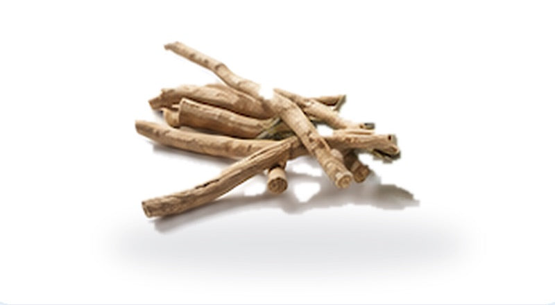 Dried ashwagandha roots, the part of the plant KSM-66 is made from