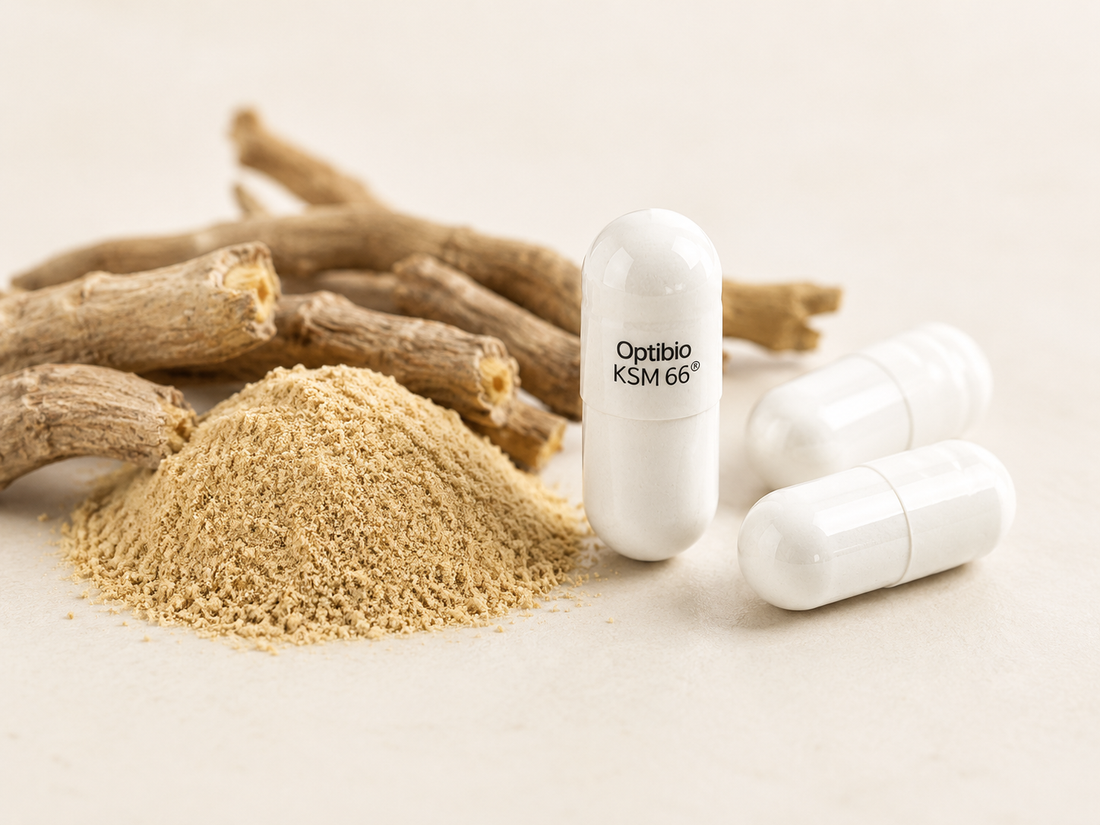 Optibio KSM-66 ashwagandha capsules beside loose root powder and dried ashwagandha root